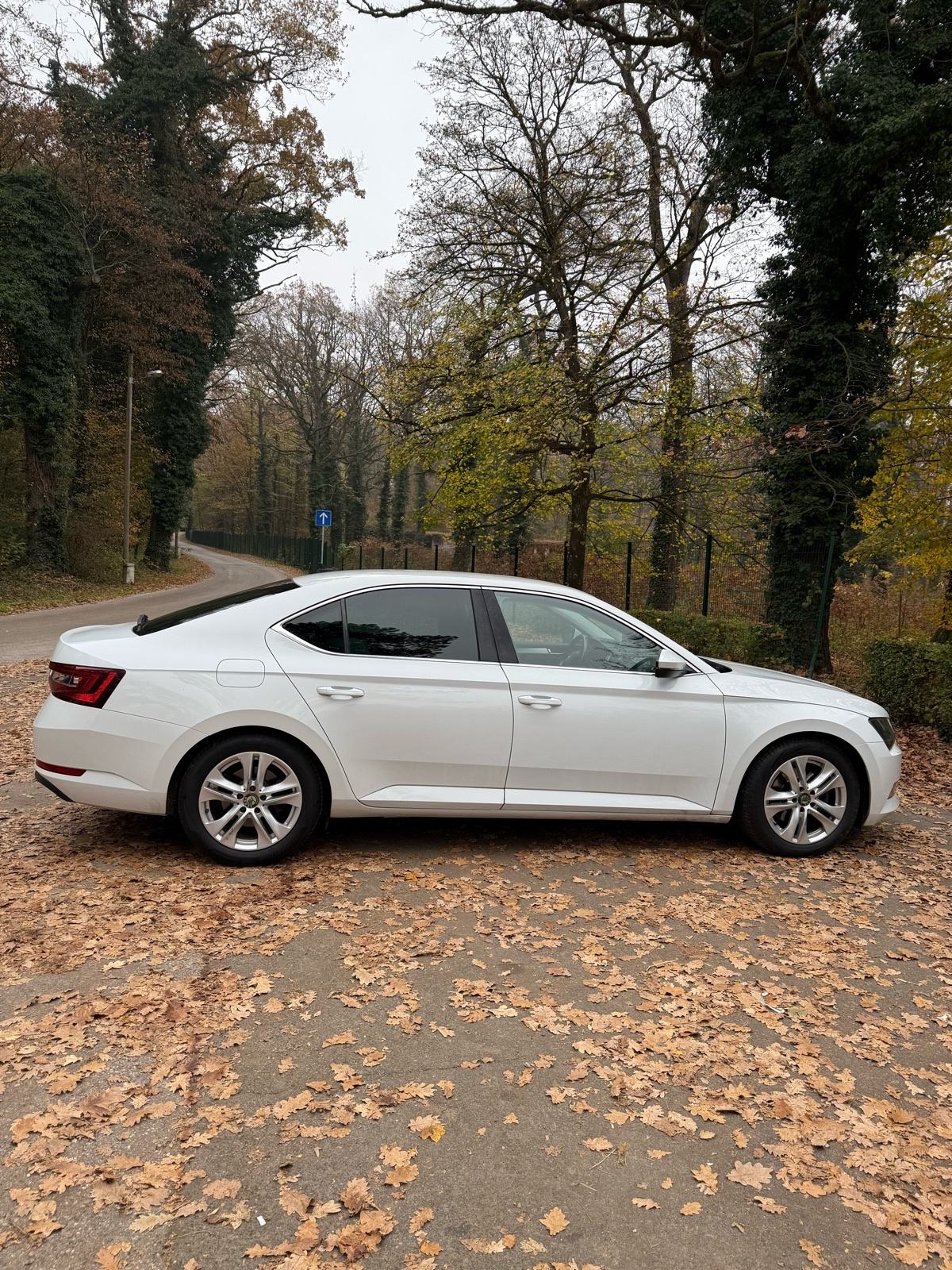 Škoda Superb 1,6 TDI DSG automatik, fotografija 3