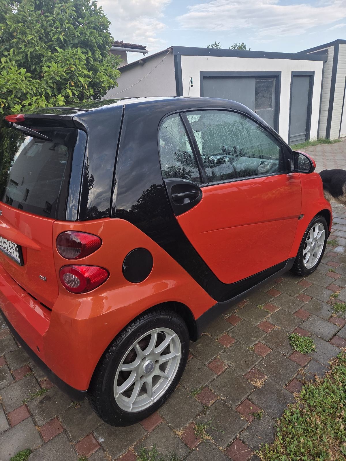 Smart fortwo coupe Smart fortwo cdi, fotografija 4