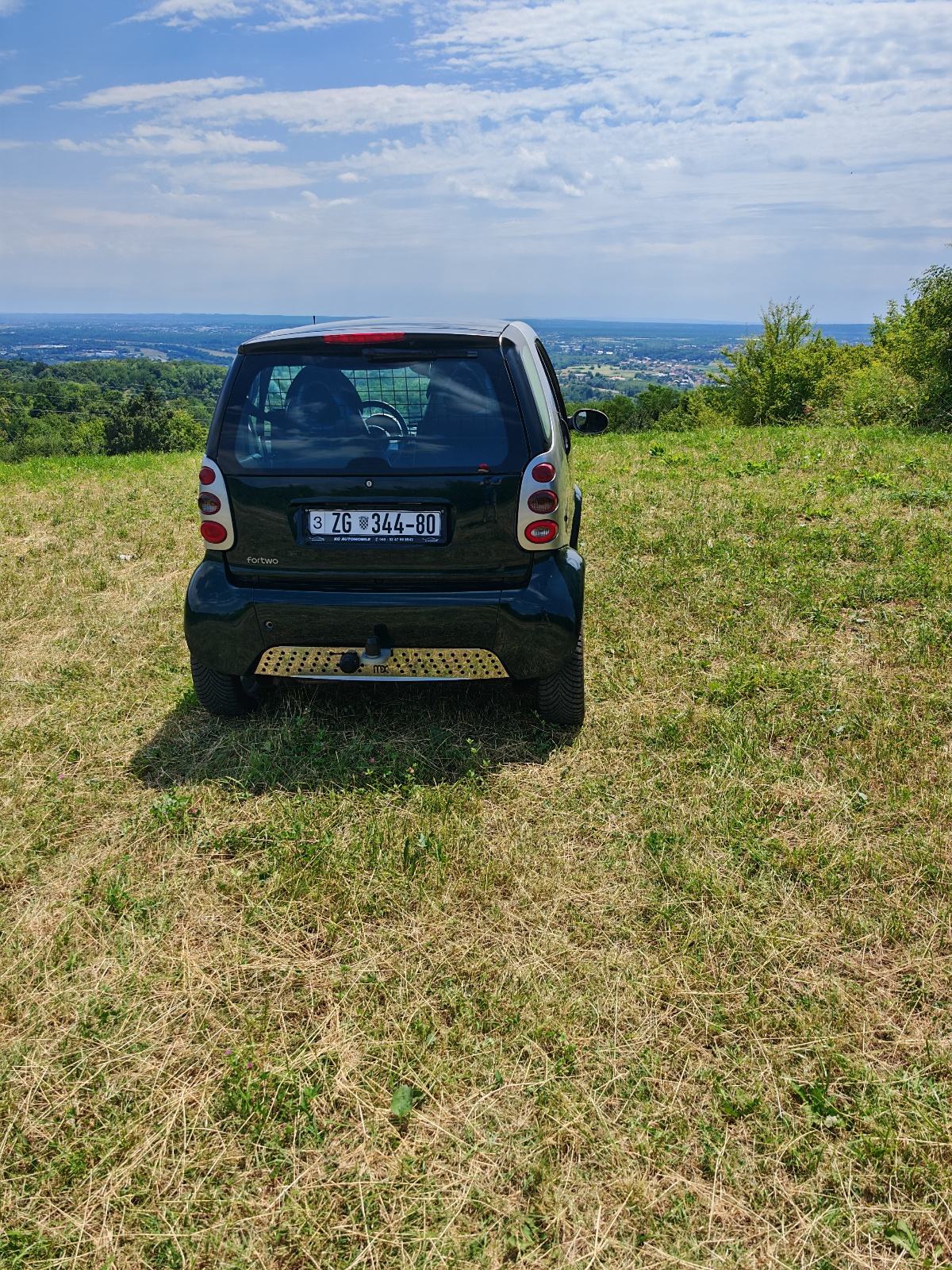 Smart fortwo coupe Smart fortwo Softouch automatik, pogled izvana - slika 5