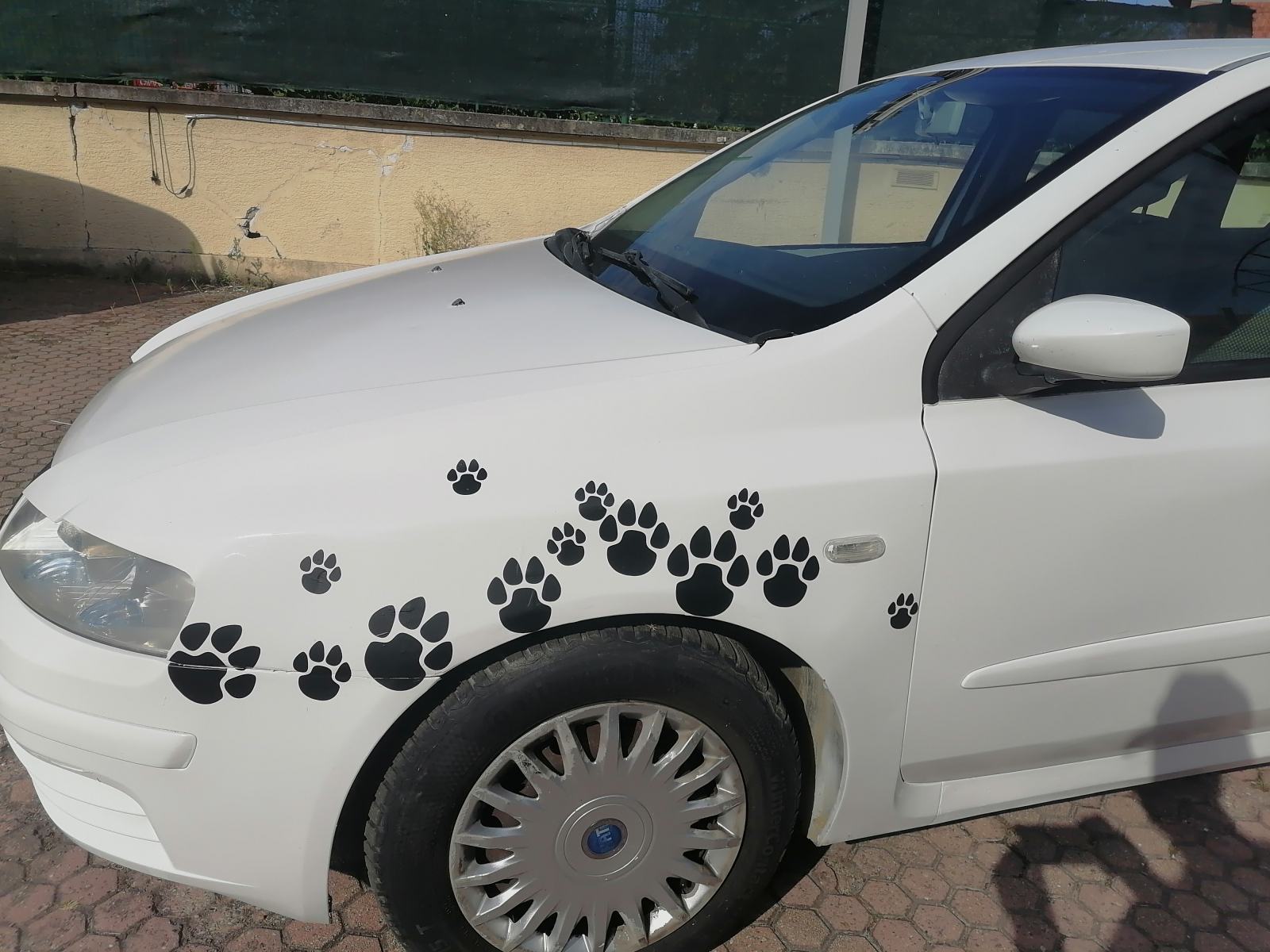 Stilo*1,6*benzinac*1 god.reg*05.g,*hatchback*klima*novo kvacilo*TOP!!!, fotografija 9