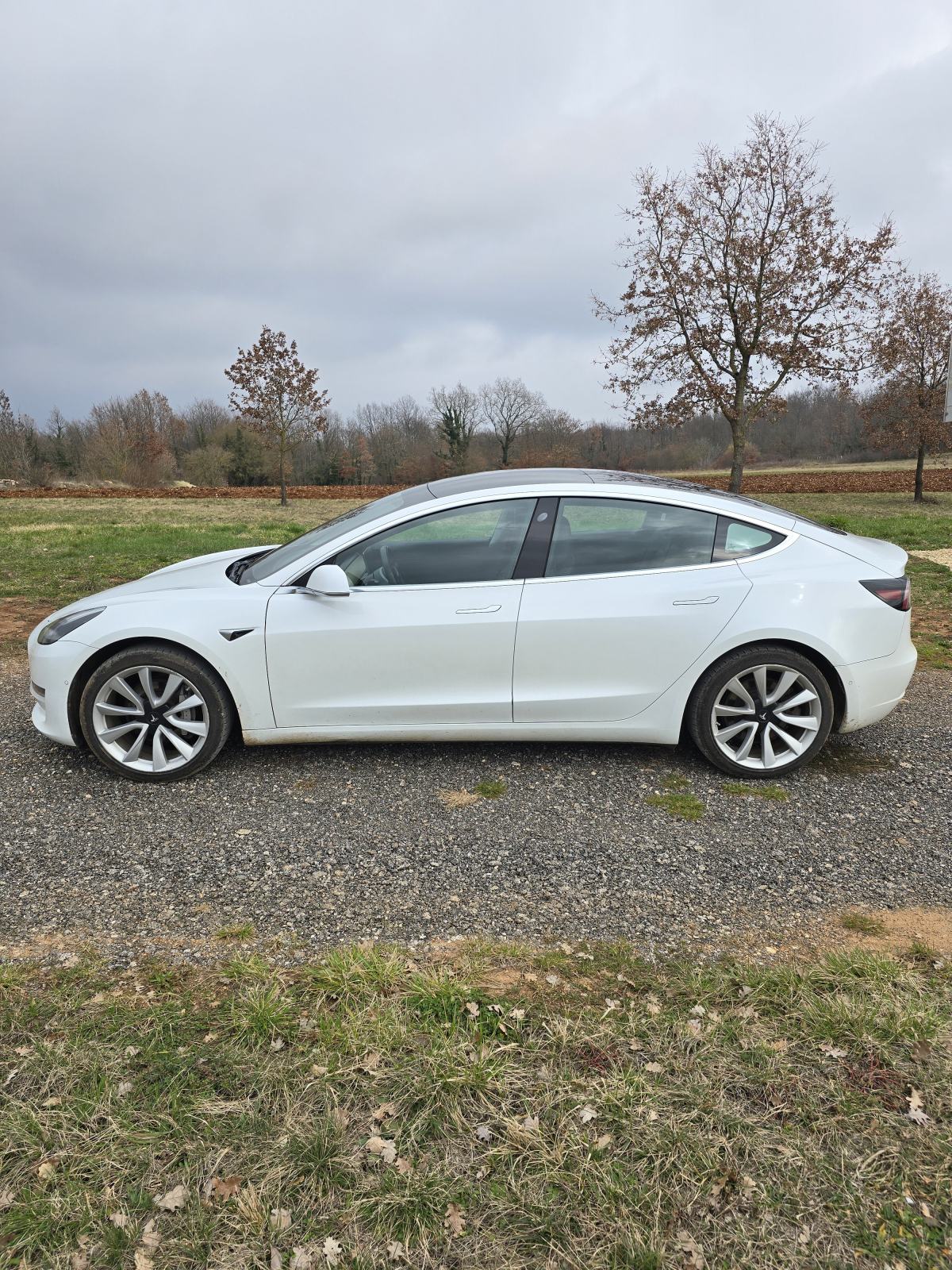 Tesla Model 3 DUAL MOTOR AWD, fotografija 3