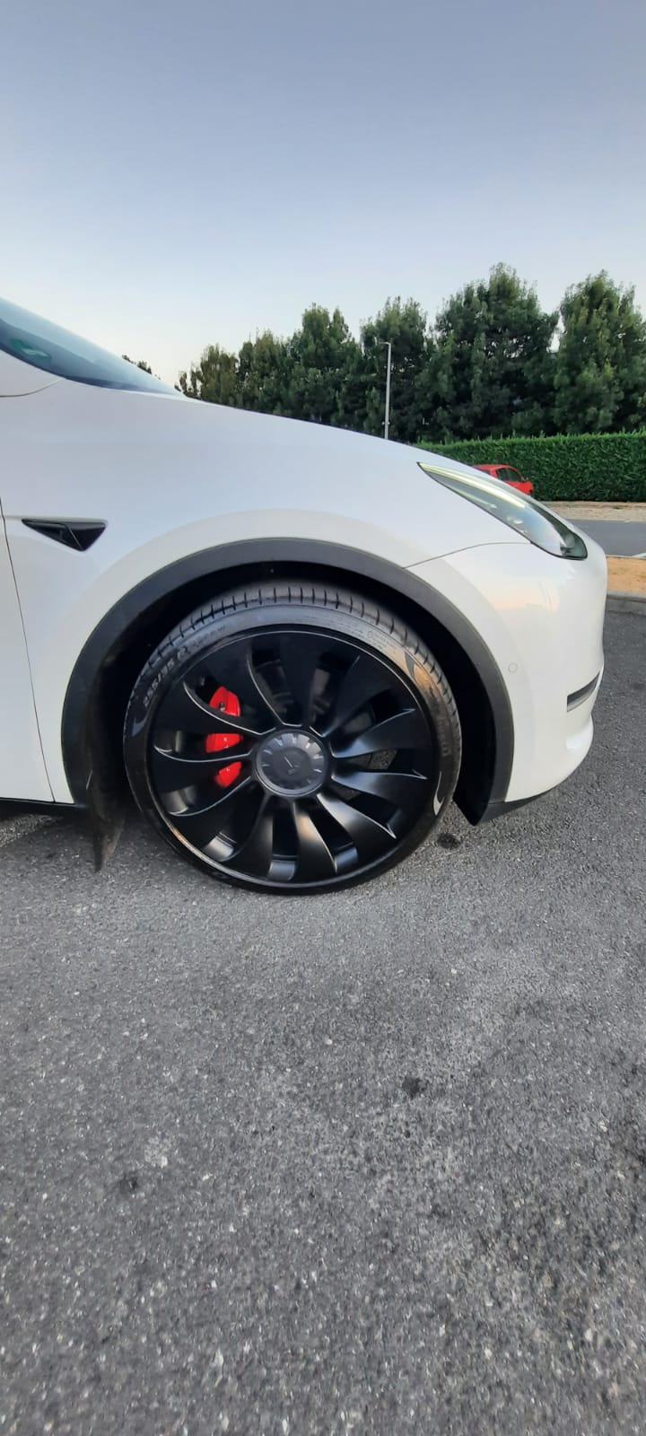 Tesla Model Y Performance Dual Motor automatik, fotografija 3
