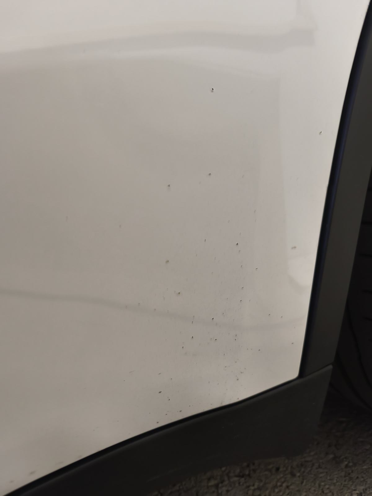Tesla Model Y RWD 2024 BYD blade baterija, fotografija 8
