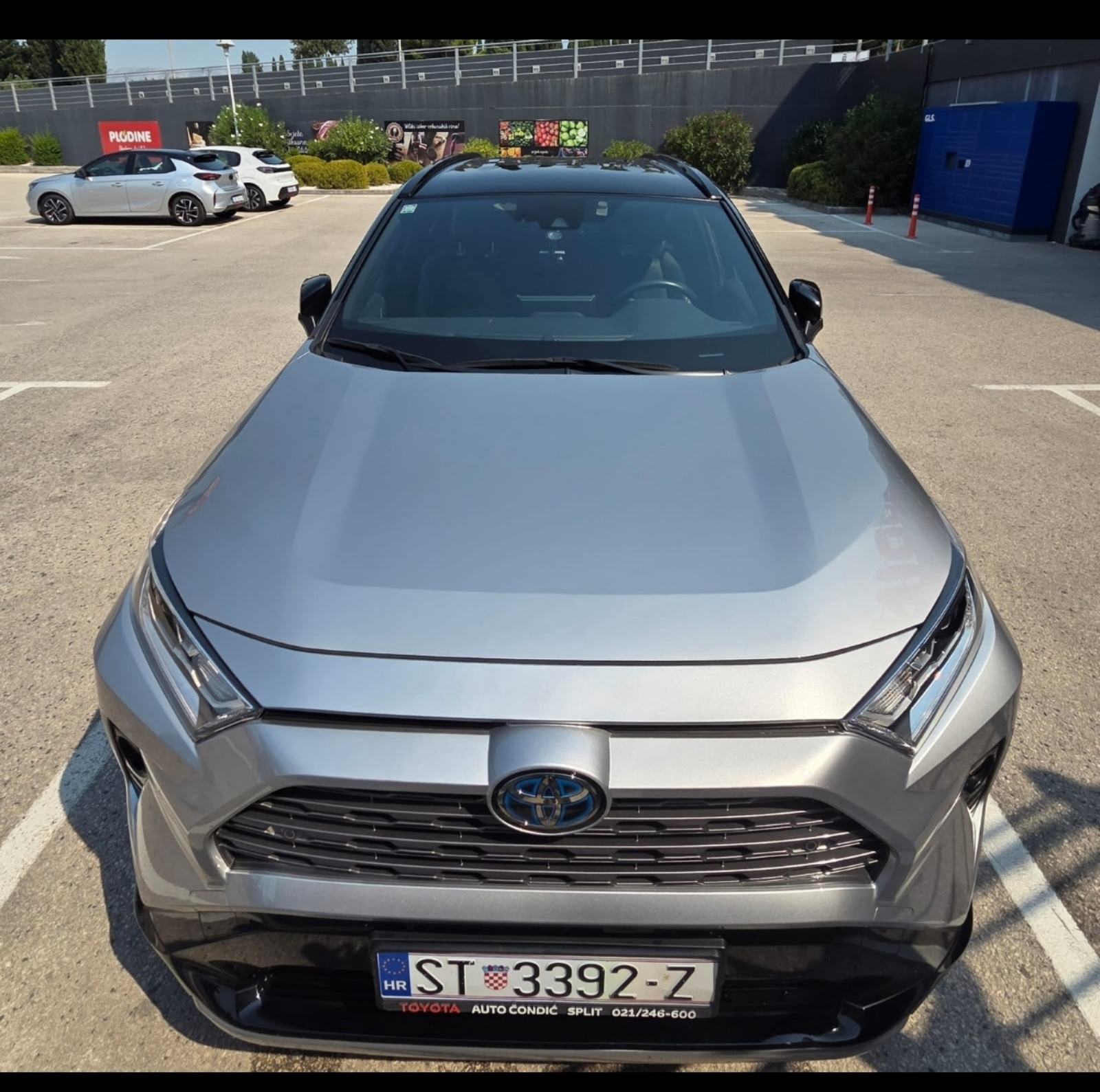Toyota Rav 4, Hibrid, sivi metalik, fotografija 2