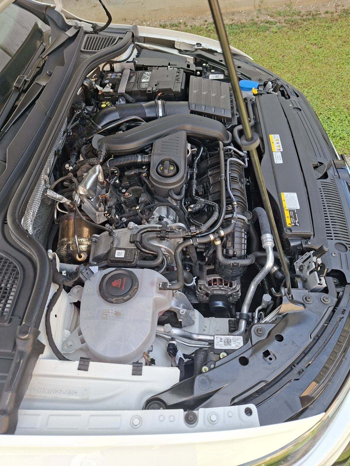 VW Golf 8 R-Line,1,5 TSI,2025g., fotografija 12