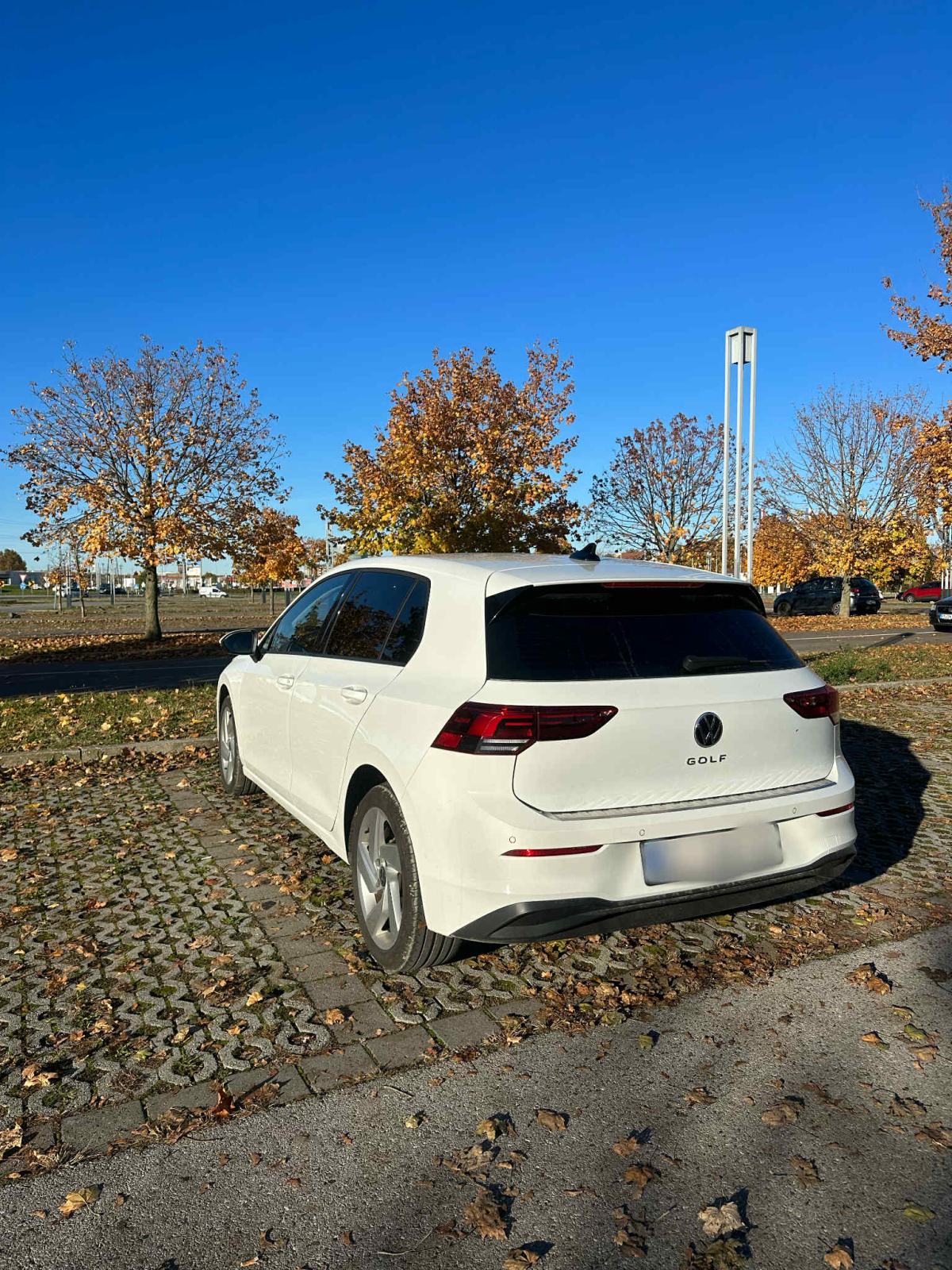 VW Golf 8 2,0 TDI DSG, fotografija 6