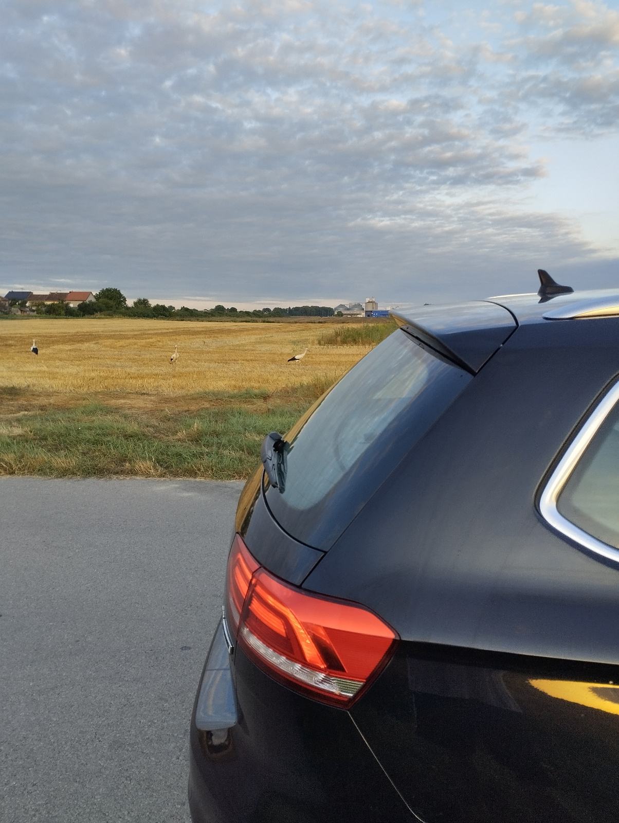 VW Passat Variant 1,6 TDI BMT DSG, fotografija 11