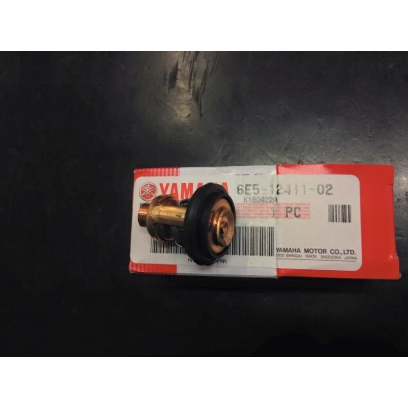 2 Termostati Per Fuoribordo Yamaha 2 Tempi, Sostitutivi 6E5-12411, Compatibili 3-250HP