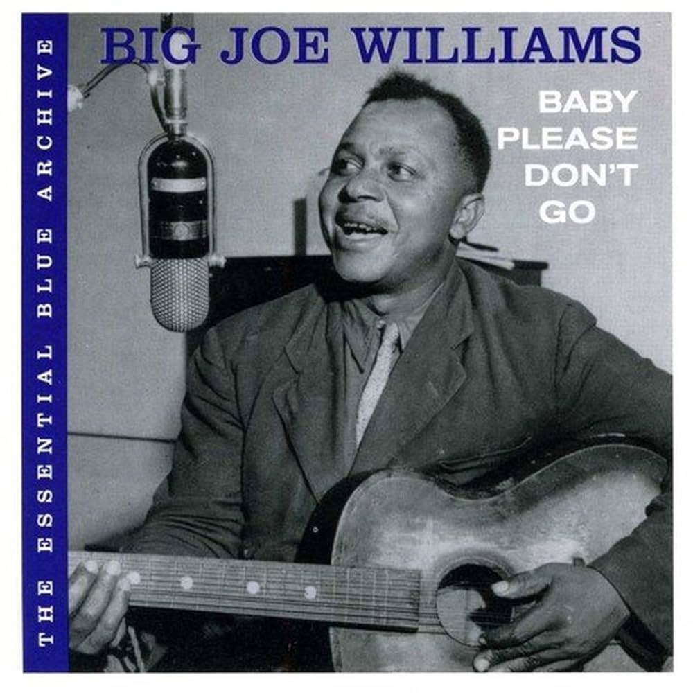 BIG JOE WILLIAMS - BABY PLEASE DONT GO SPV 50802 CD DP