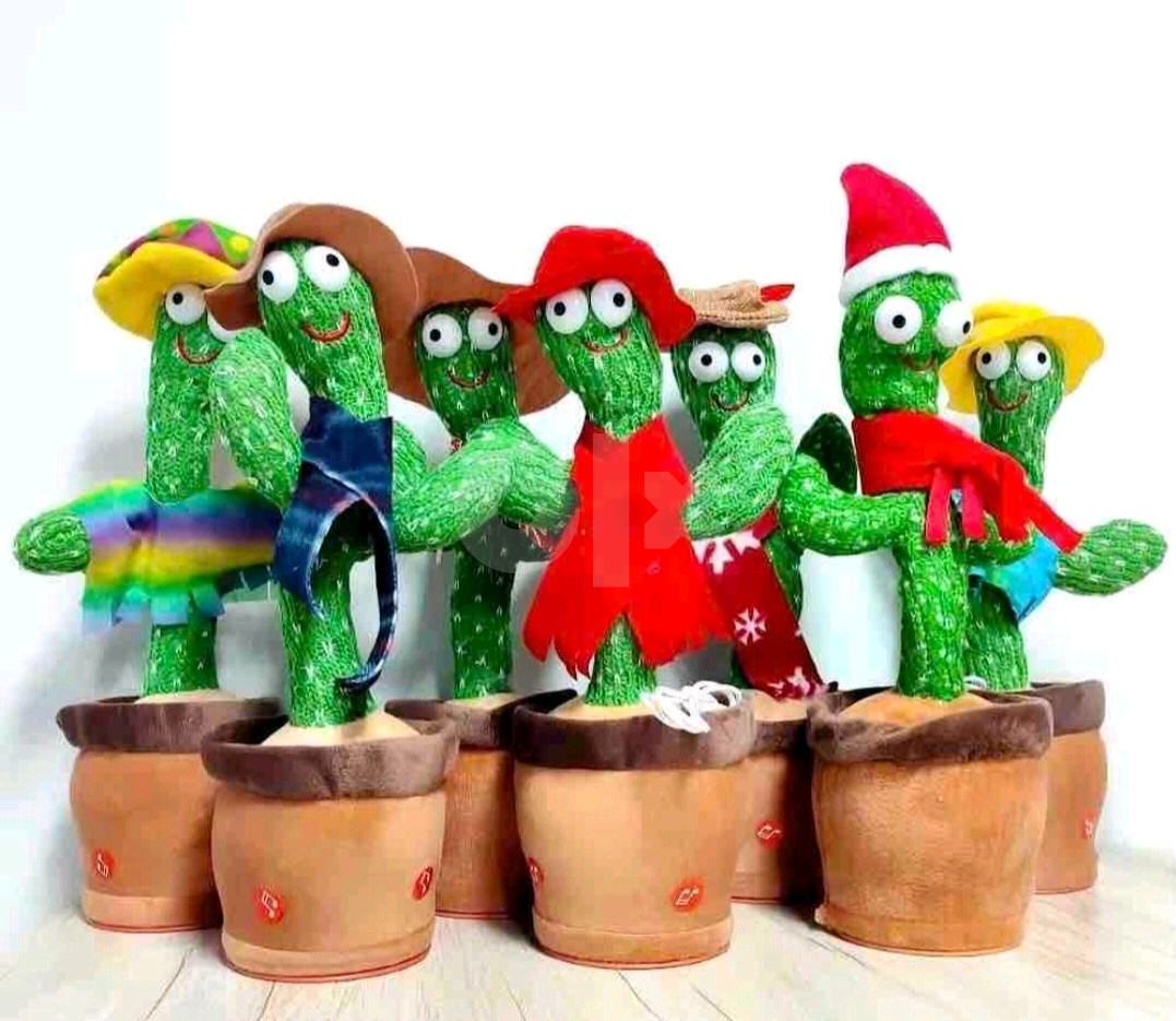 kirschlorbeer hagebaumarkt Kirschlorbeer als Spalierbaum 'Novita'