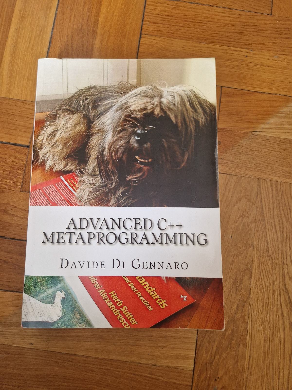 Advanced C++ Metaprogramming