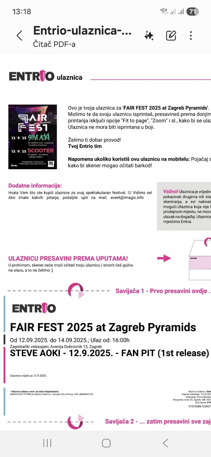 Steve Aoki, Fair fest