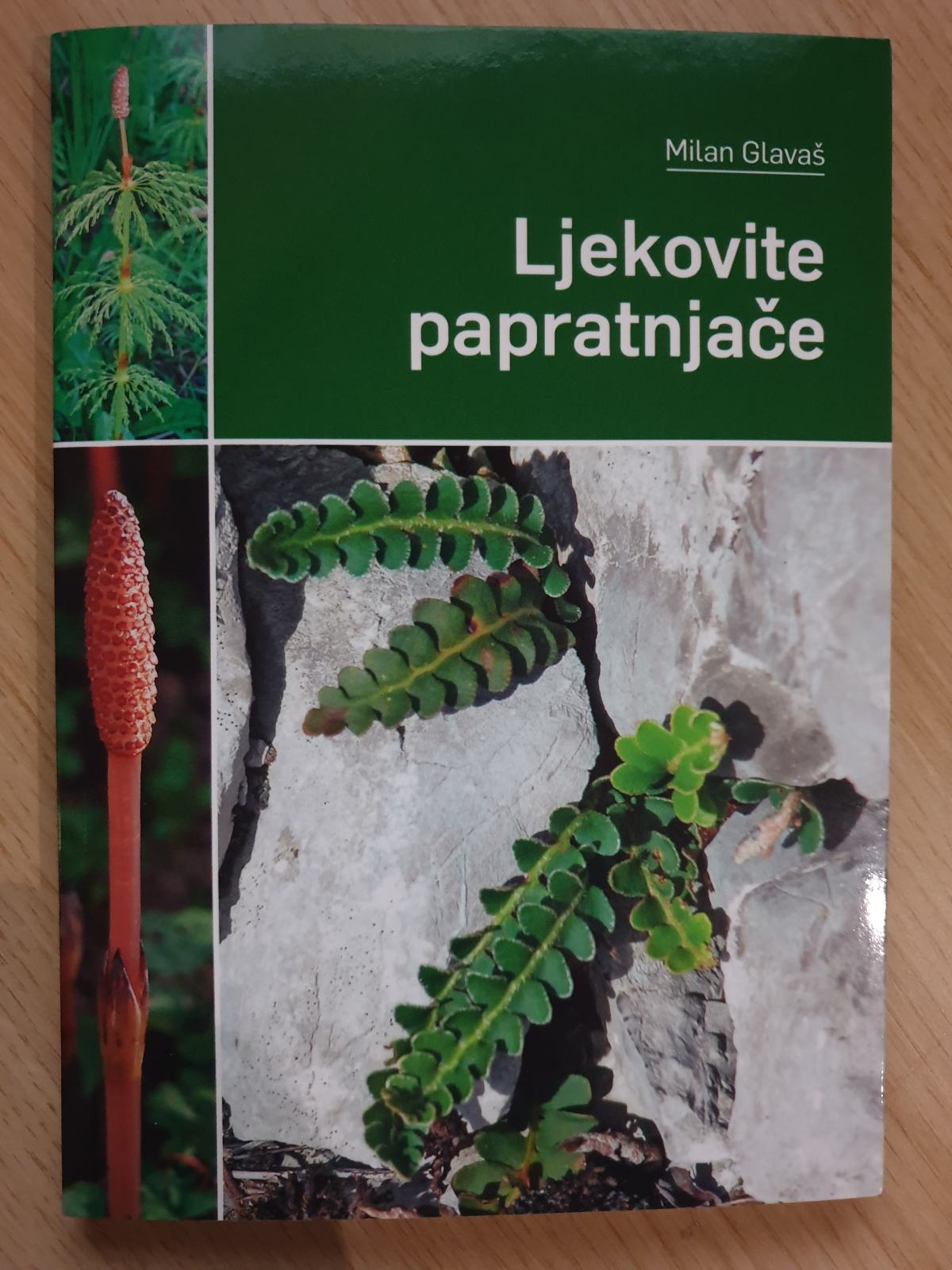 Ljekovite papratnjače - Milan Glavaš