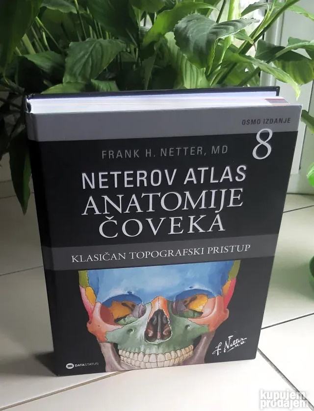 Neterov atlas anatomije čoveka topografski pristup NOVO