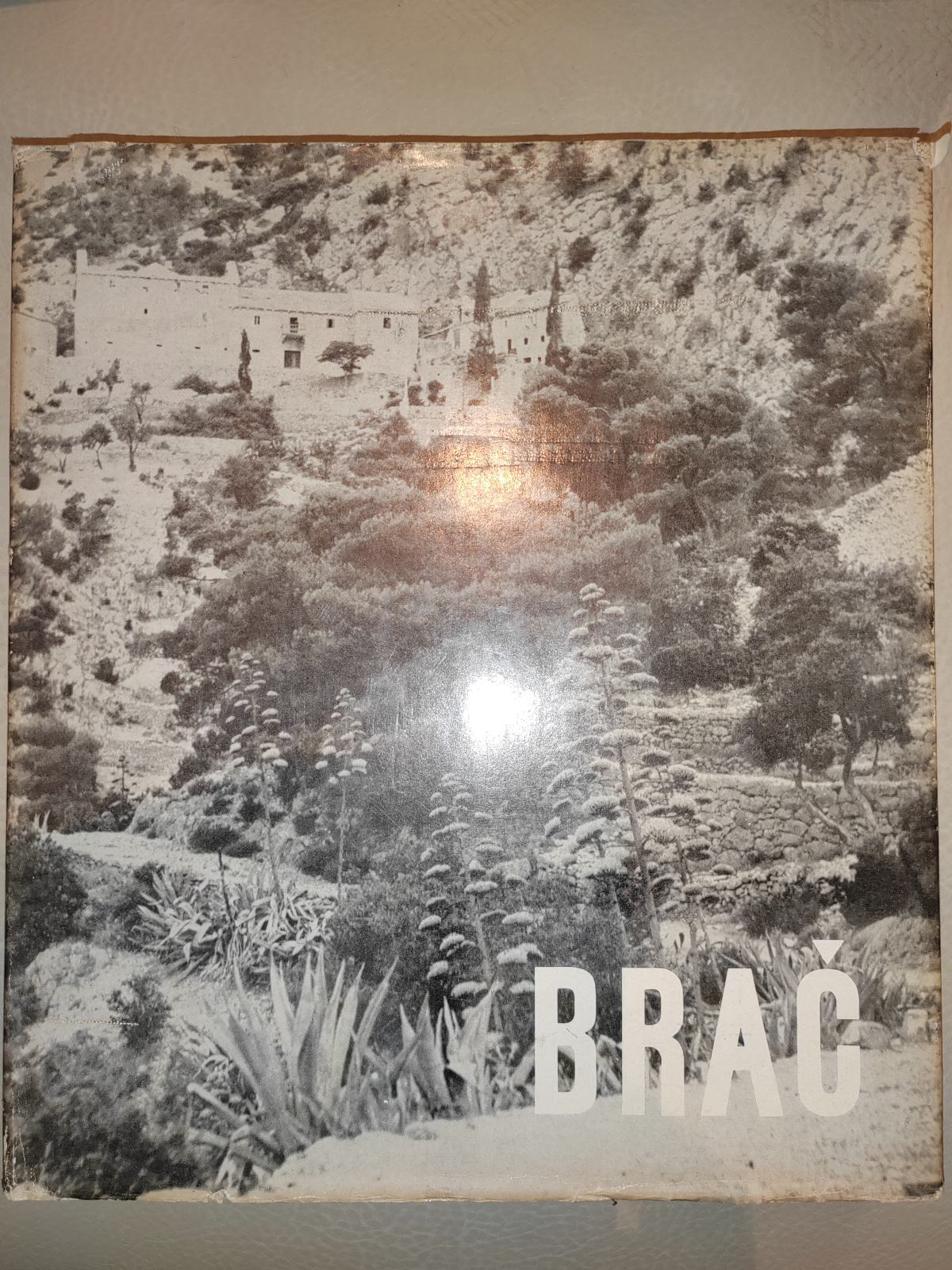 Brač