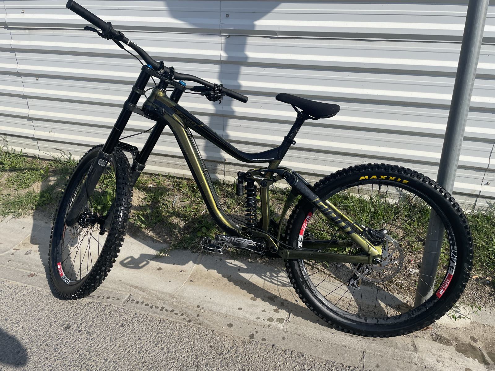 Giant Glory 2020 Giant Glory 2020