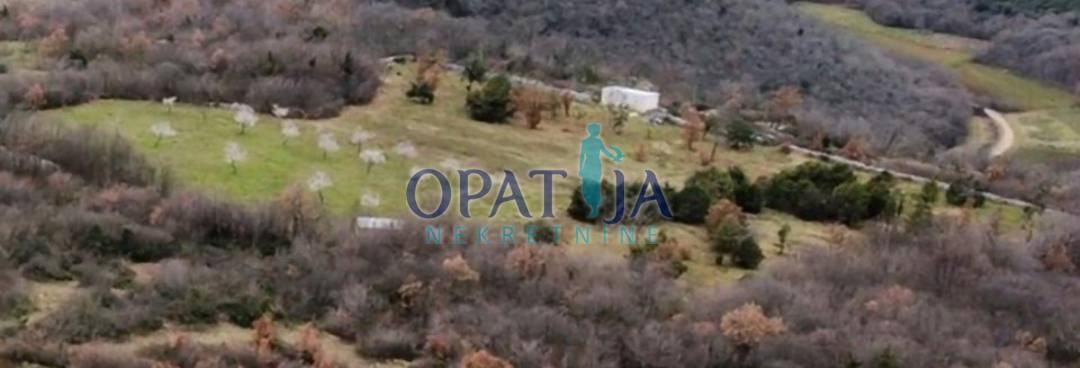 Istra - absolute opportunity - 2 small houses with a total of 21700 m2