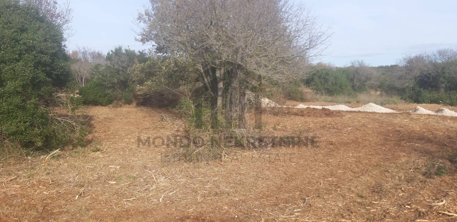 Istra, Pula, Građevinska parcela 1000 m2