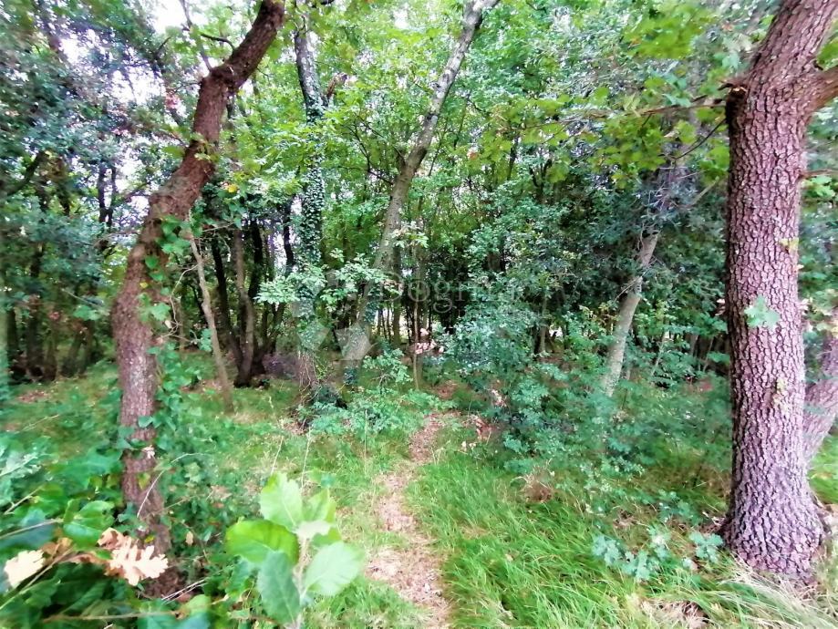 Istra-Pula, mjesto Krnica, parcela u kompleksu parceliziranih čestica