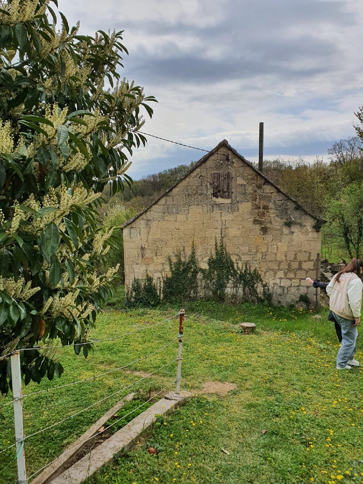 Kamena Kuća 100m2 - 100m2 potkrovlje - 100m2 konoba - 5784m2 zemljište