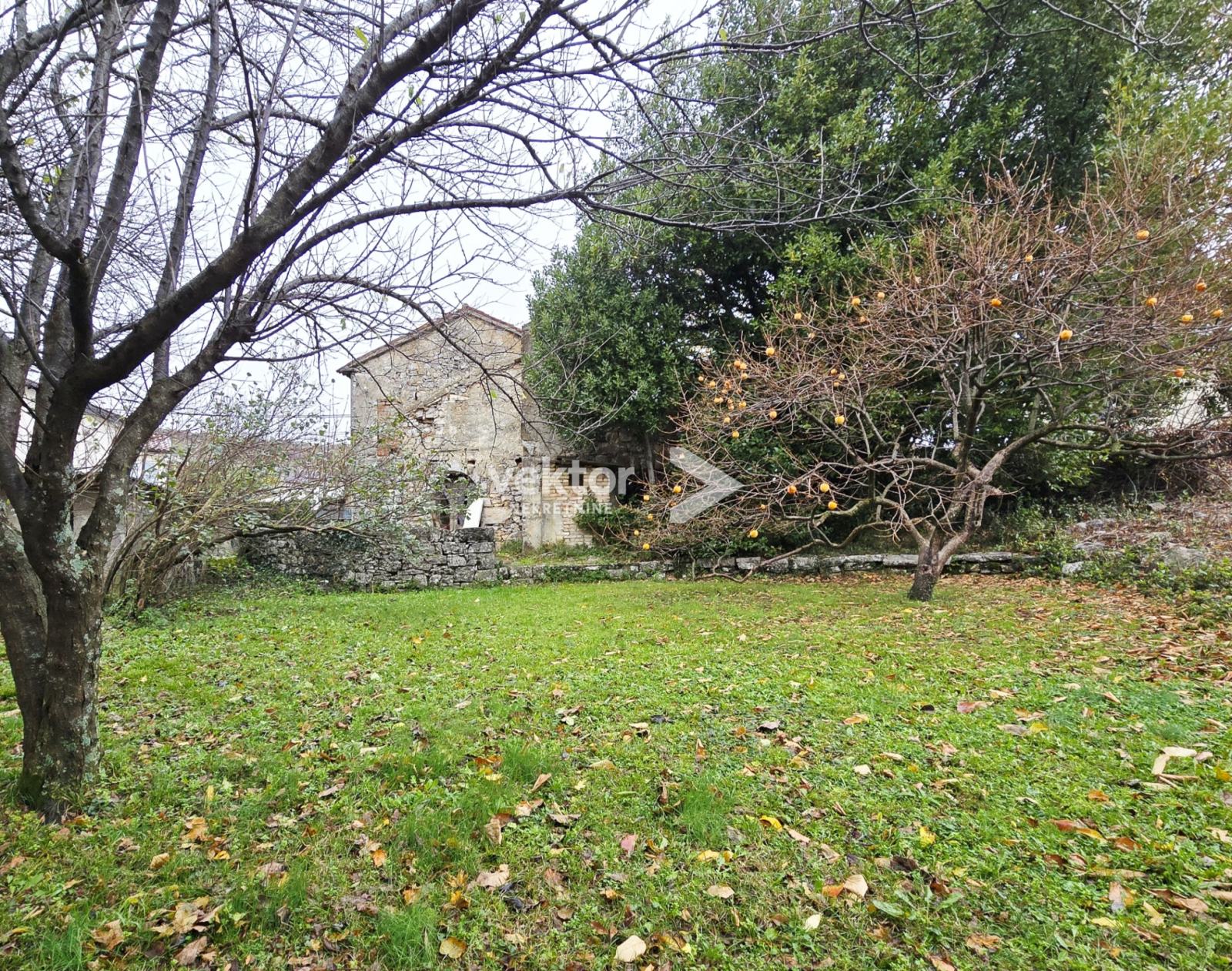 Kastav, samostojeća starina, 900m2 parcela (prodaja)