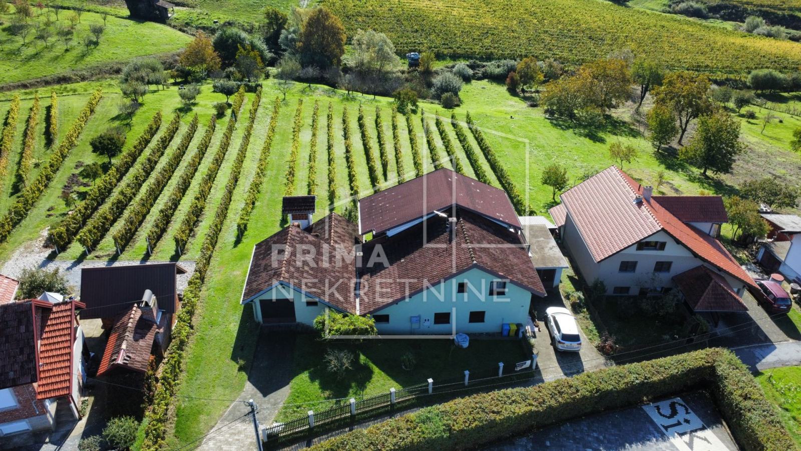 Popovača, samostojeća kuća s vinogradom i voćnjakom (prodaja)