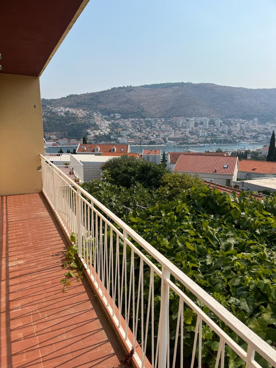 Prodaje se stan u kući s garsonjerom i vrtom.