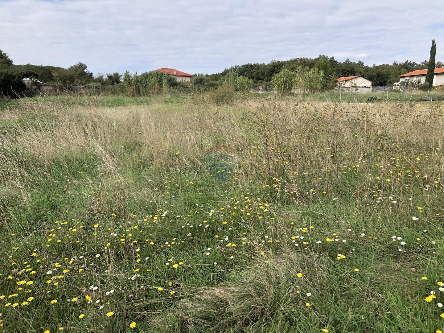 Istra,Pula, poljoprovredna parcela s vodom
