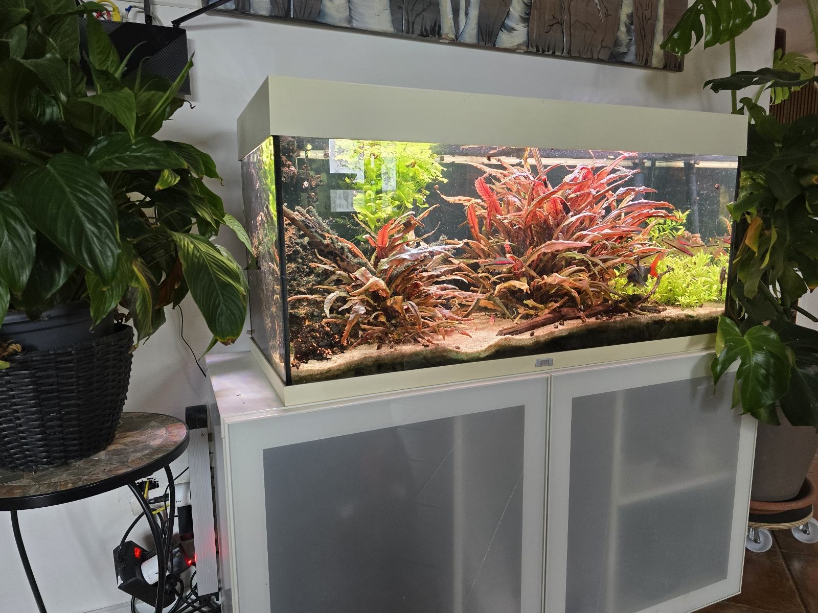 Fluval Rio 350 Juwel Rio 180/Fluval fx4/Chihiros wrgb