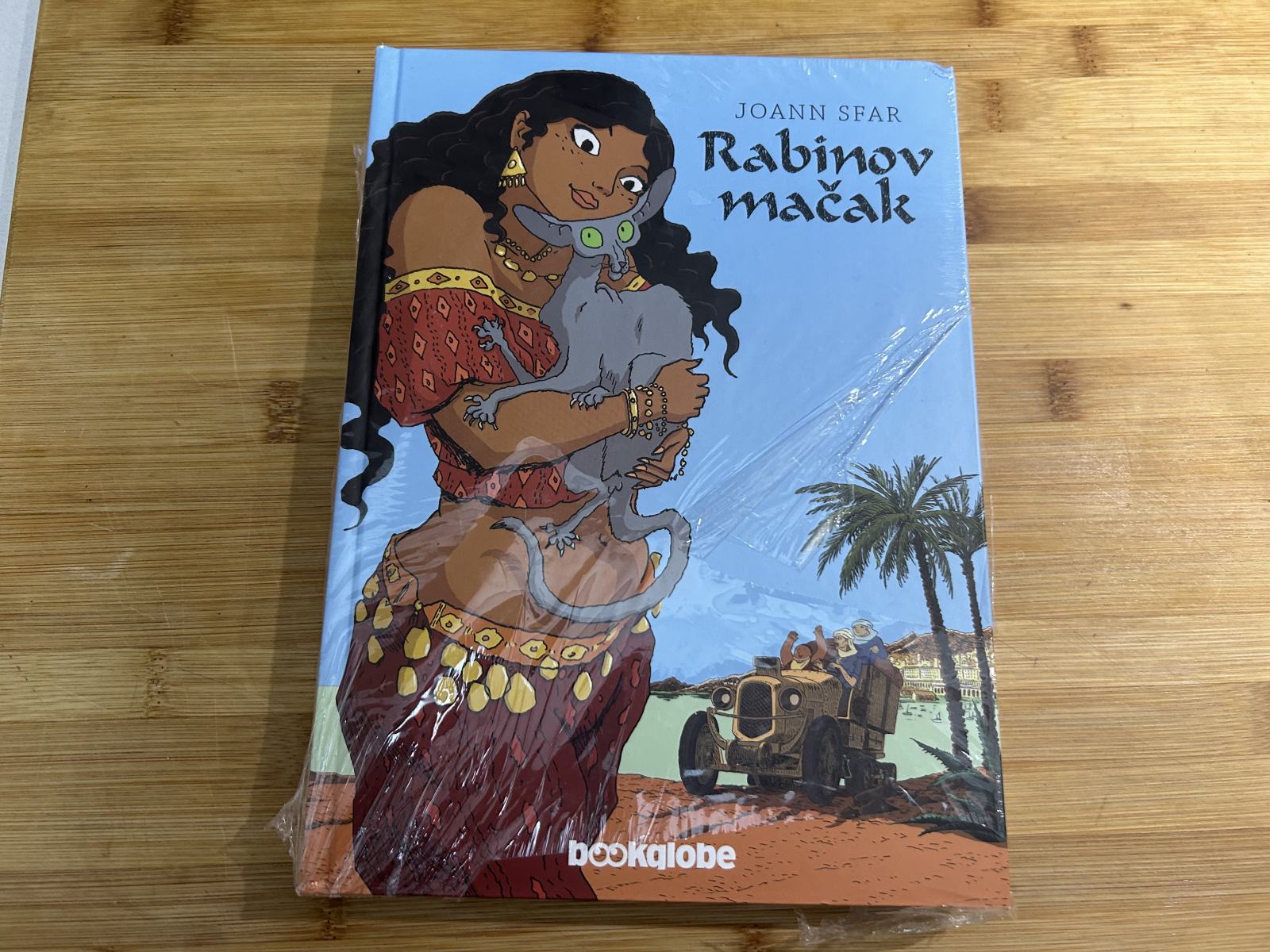 Amber Rabinov RABINOV MAČAK-BOOKGLOBE
