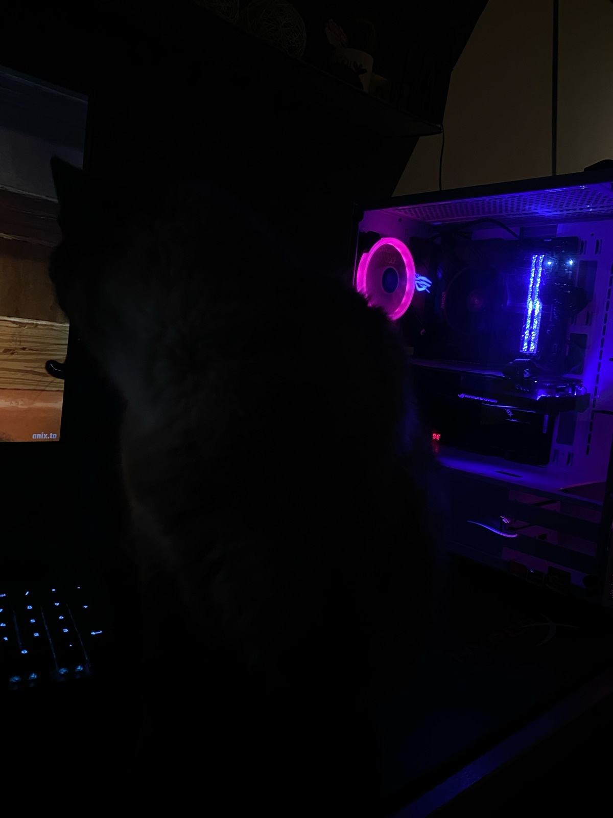 Work/Gaming PC R5 5500