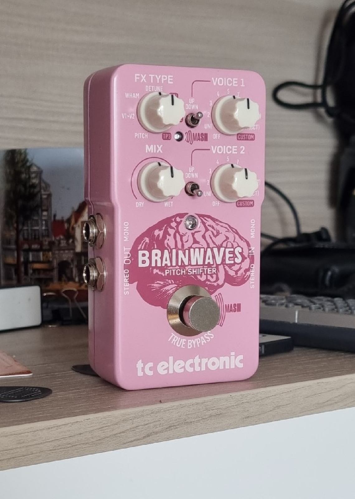 tc electronic brainwaves
