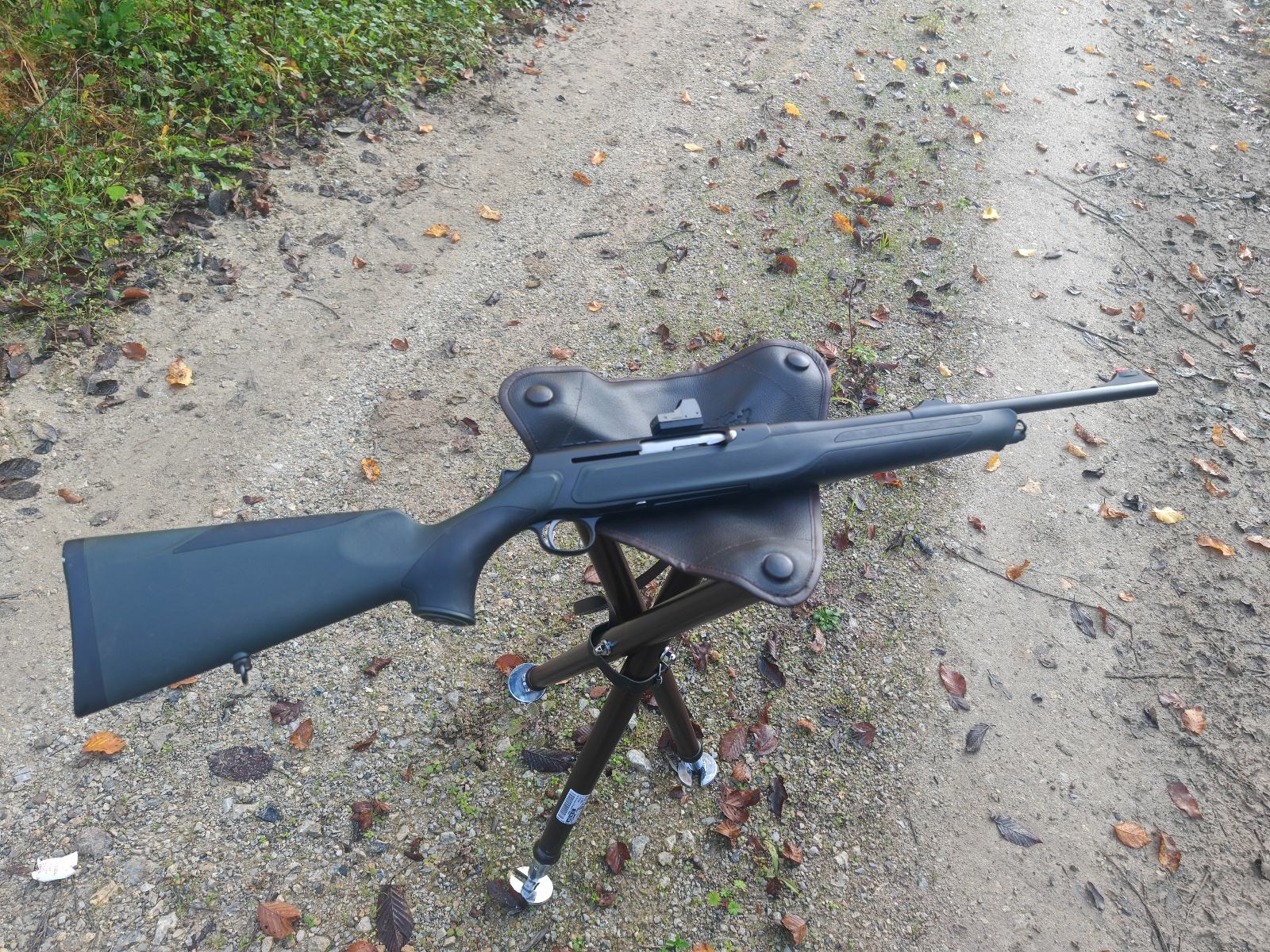 Sauer 303