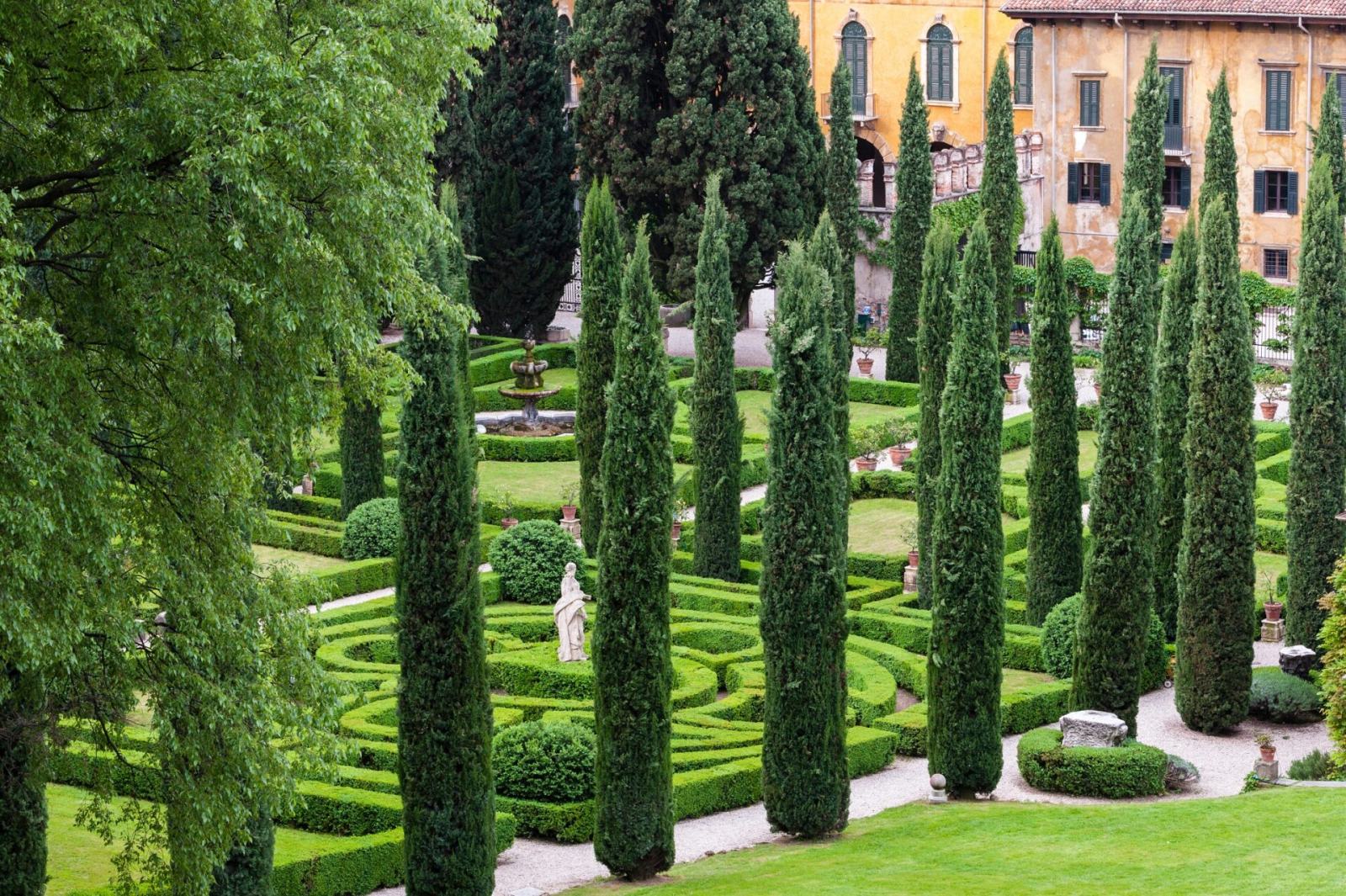 Čempres Toskanski - Uski / Cupressus Sempervirens / Sjeme