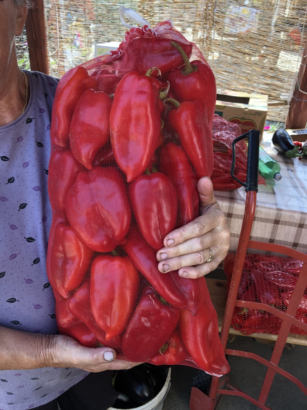 Paprika Roga