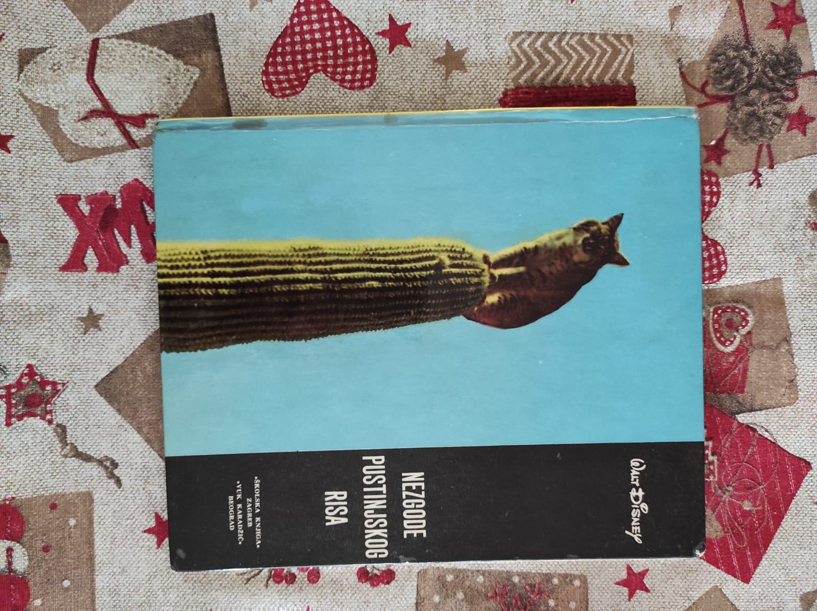 Nezgode pustinjskog risa