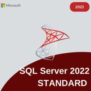 Microsoft SQL Server 2022 Standard 1 User Originalna licenca/key