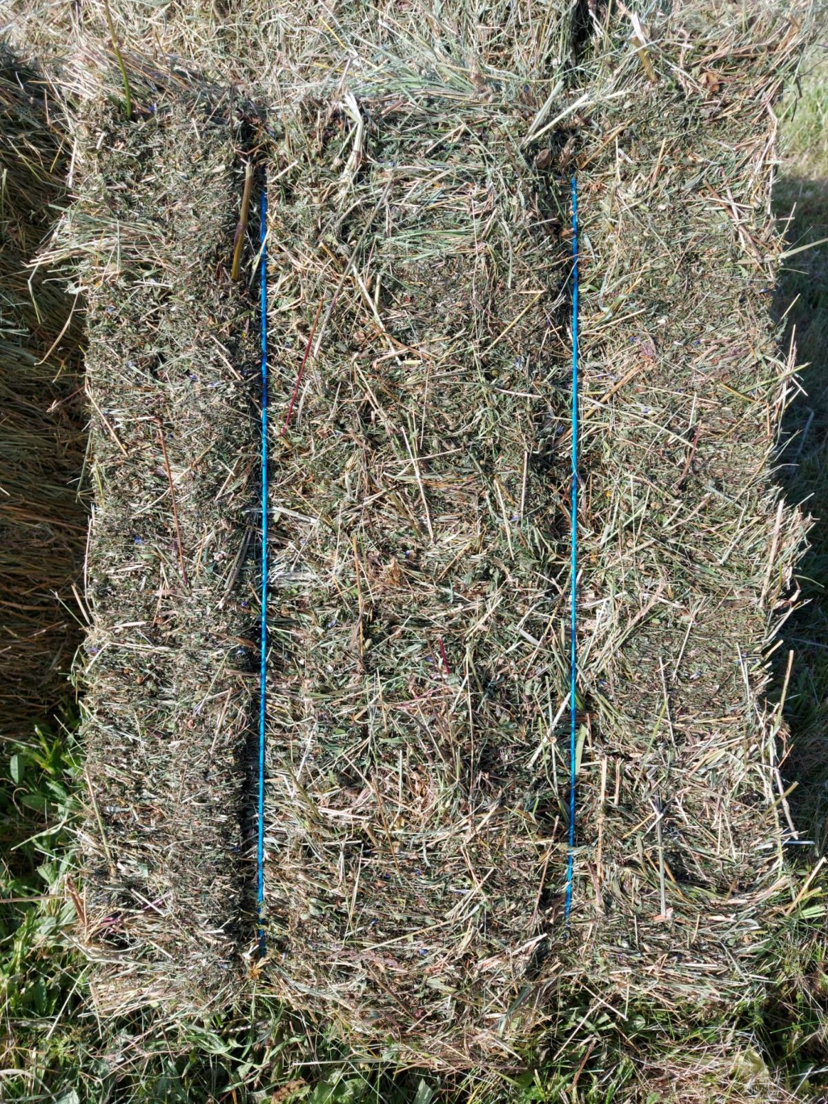 Bale sjena