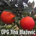 OPG Tiha Blažević