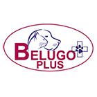 Pet shop Belugo Plus