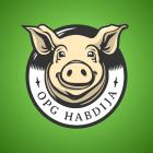 OPG_Habdija