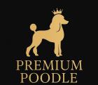 PremiumPoodle