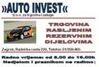 AUTO INVEST