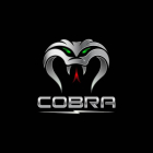cobra-11-