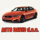 AUTO DAVID