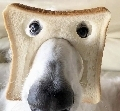 fido74