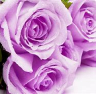 namjestaj_povoljno45