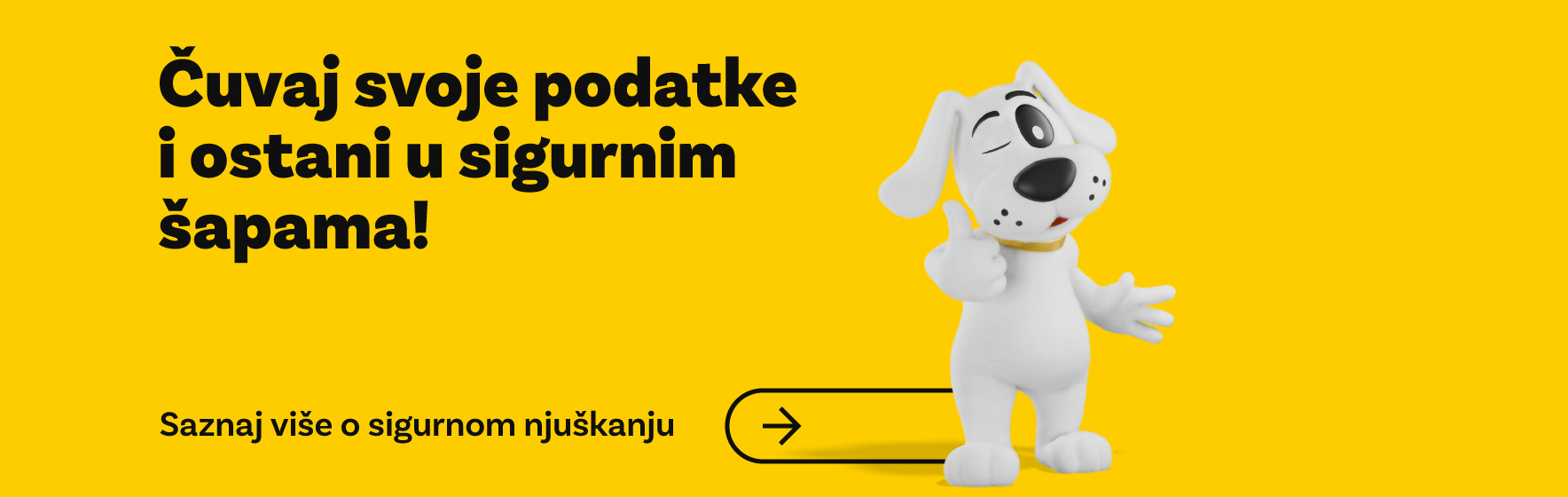Procitaj blog i saznaj kako ostati siguran dok njuskas!