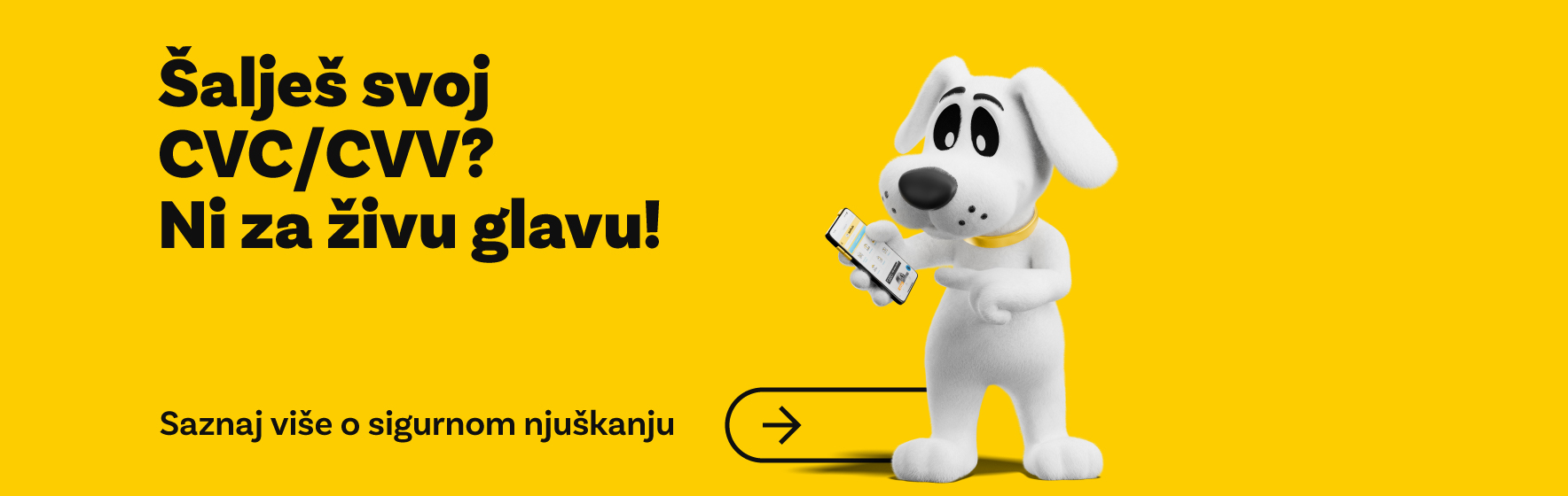 Procitaj blog i saznaj kako ostati siguran dok njuskas!